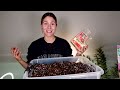 Perfect Potting Mix for Aroid Houseplants | Monstera Philodendron Anthurium Hoya Potting Soil