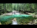 4K Waterfall & River Ambience | 3 Hours - Relaxing Nature Sounds with Birdsong | Calming Waterfalls