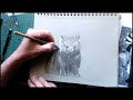 Drawing a Wombat in Pencil