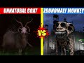 Unnatural Habitat vs Zoonomaly Monsters Fights | SPORE