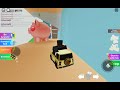 roblox gameplay!