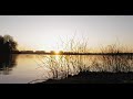First Ray of Light - Sunrise | Binaural Nature Ambience Sounds for Relaxation | 4k ASMR Recording