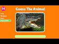 Guess 120 Animals in 3 Seconds | Easy, Medium, Hard, Impossible