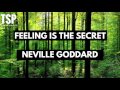 Neville Goddard - Feeling is the Secret - HD [Full Audiobook]