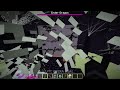 what if the ender dragon goes to nether?