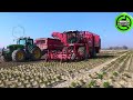 The Most Modern Agriculture Machines That Are At Another Level,How To Harvest Pumkins In Farm ▶20