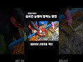 내가 회센터를 안가는 이유 #shorts