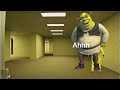 Shrek in the backrooms (new entity, level shrekrooms)