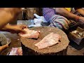 Amazing Groupers Fish Cutting Skills In Fish Market Bangladesh | Fish Cutting Skills
