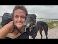 What’s it really like having a greyhound? 🐕 A day in the life of an ex-racing greyhound 💕