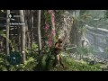 Assassin's Creed - Black Flag Maximum Graphics GTX 780 Ti