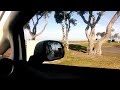 South Bay Park, Chula Vista. A bird came to say hello.