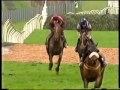 The BBC Grand National 2001 - Red Marauder