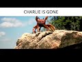 Charlie Is gone (Reupload due to copyright issues) Original Audio In Description (Joke)