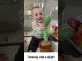 Funny Babies playing with the cactus toy, Tik Tok Compilation E10, THE WORLD WE LIVE IN