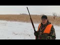 Part 1 of South Dakota Ringnecks DEC 2022