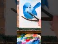 画一只蓝色的小鸟/How to draw a blue cute little bird