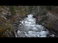 West Fork of the Wallowa River