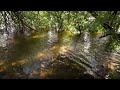 Mountain River in Autumn 4k UHD  Peaceful River Sounds, Nature Sounds, 10 Hours to Sleep, Relax