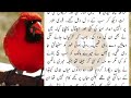 New Heart Touching Story 2024 || Sachi kahaniyan || Urdu Kahaniyan || Kahani Urdu Story598