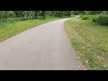 Skating on a beautiful path