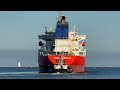 BIGGEST EVERGREEN CONTAINER SHIP TO EVER ARRIVE IN LOS ANGELES 4K SHIPSPOTTING - April 2024