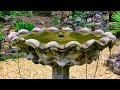 1 Hour Relaxing English Garden Trickling Water Fountain