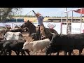 Youth Team Branding - 2023 Motley / Dickens Old Settlers Rodeo