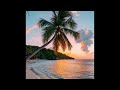 Dancehall x Reggaeton x Moombahton Type Beat 2024 - OCEAN | Afro Beat / AfroSwing Type Beat 2024