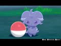 Espurr In Camp - Pokemon Sword & Shield