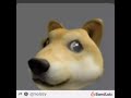 Doge Lover [remastered]