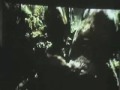 King Kong log scenes