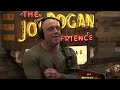 Joe Rogan Experience #1895 - Matt Walsh