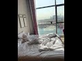 blockchain dev nomad vlog, November 2021, Dubai