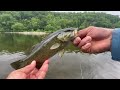 Wade Fishing The DELAWARE RIVER With Jerk Bait