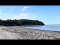 Bald Eagle flying at Ninilchik Beach