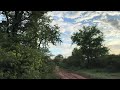 Scenic drive inside the Nature Reserve | Botswana