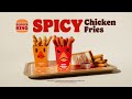 Pretty Neat – Spicy Chicken Fries