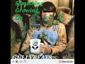 GULLYBEATS  - Something Growing On