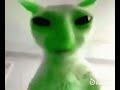 green alien cat says yaer aegh erya