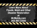How to Remove Mold Spores from the Air | Distaster Restoration Experts in Denver