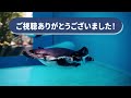 【4K】サンシャイン水族館 1階 Sunshine Aquarium First Floor  Tokyo Japan