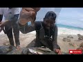 Shore-Line Spearfishing |Reef Hunting| *Must Watch*