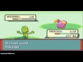 pokemon emerald episode 8 REMATCH!!!!!