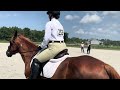 Green horse equitation 8/4/24