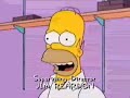 The Simpsons - Homer the Astronaut?