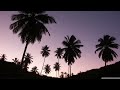 (SOLD) Purasvibes - Playa | Chill Smooth Boom Bap Instrumental Beat