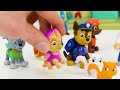Paw Patrol Toy Learning Video for Kids - Adventure Bay Rescue Mission: Missing Cats & Everest!