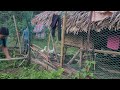 Hoa May and her husband work in a strawberry garden