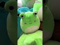 Squishmallow meet-up videos that made me think my squishmallows could ✨talk✨